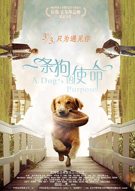 精品久久久久久综合日本