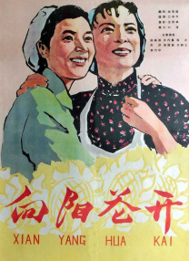 二人扑克剧烈运动视频教程软件